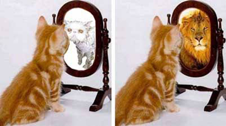 How to Improve Self-Image : Your Own Perception About You सकारात्मक आत्म-छवि